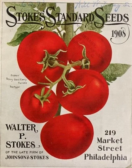 Craig LeHoullier - My Tomato Collection Tour - part 9. Tomatoes 91